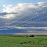Power lines in Upper Great Plains region suspended over green fields.