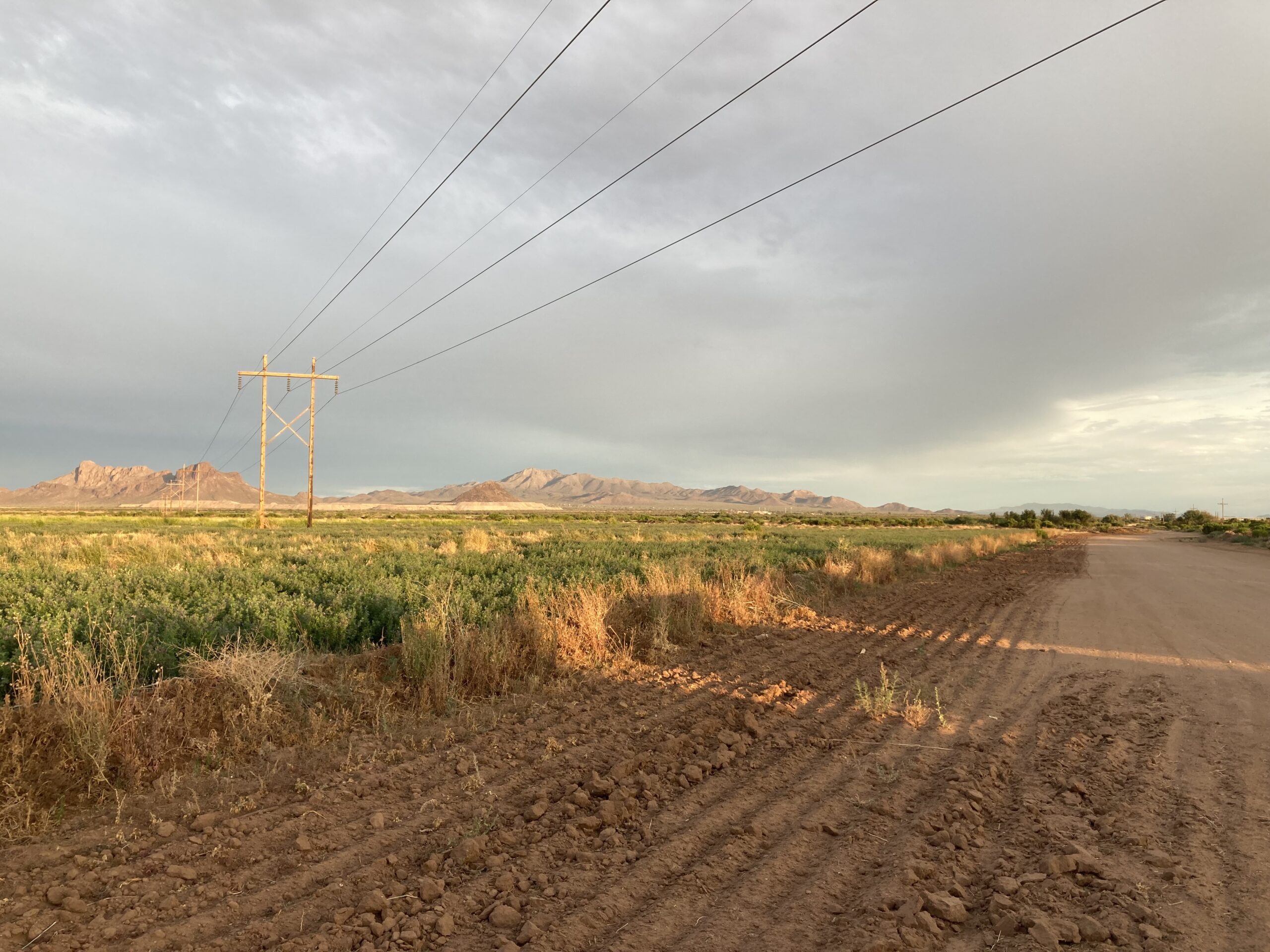 Section of the Marana Reroute showing powerline in rural landscape.