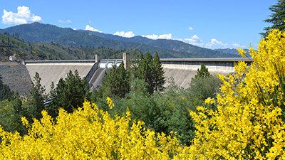Active Rate Cases image of Shasta dam in autumn